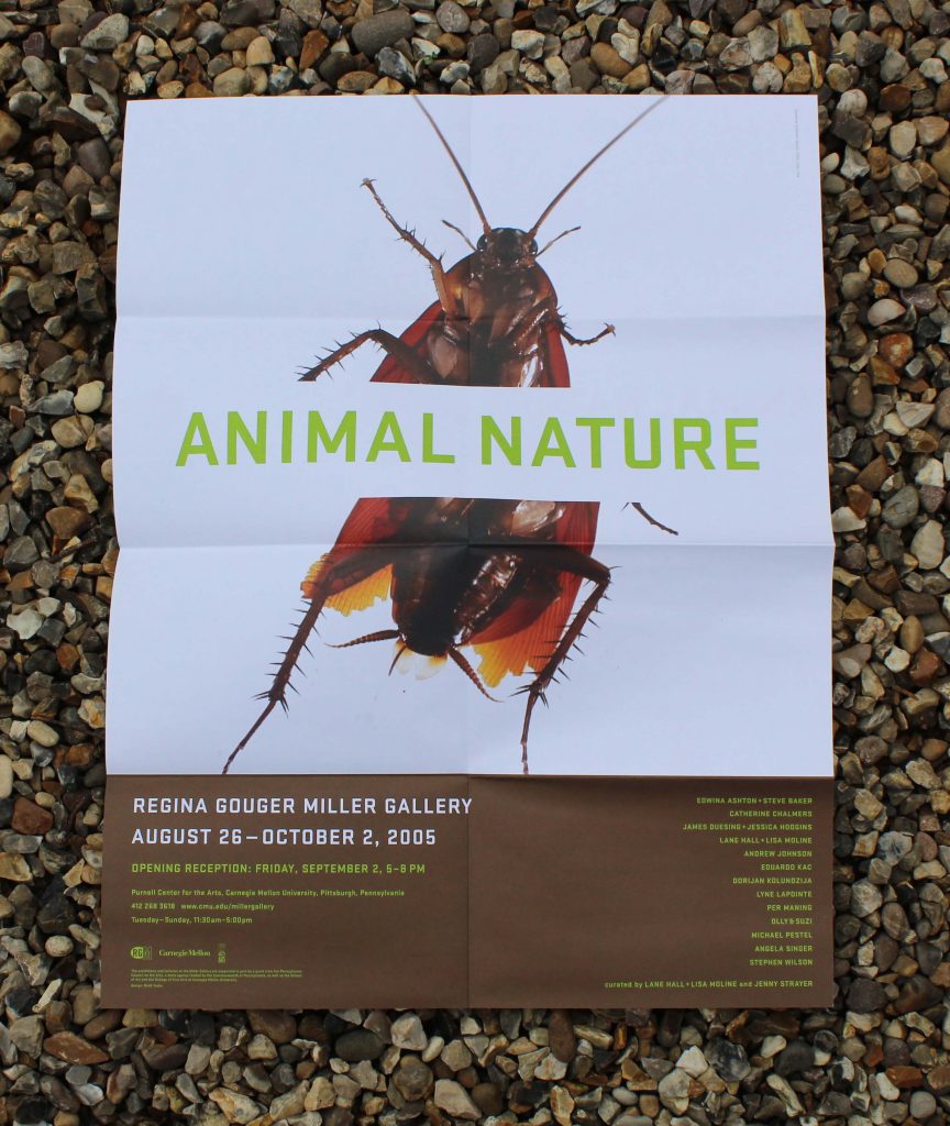 Animal Nature poster
